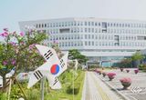 충남교육청, 사립유치원 사회보험료 납부 실태 특정감사 실시