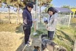충주시, 펫티켓 집중 단속 실시