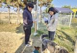 충주시, 펫티켓 집중 단속 실시