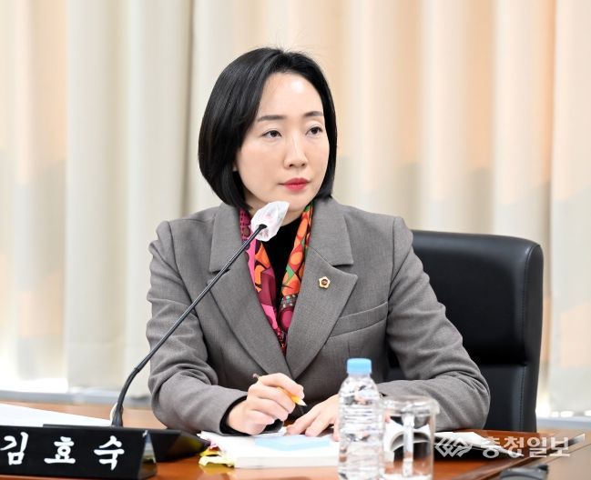 김효숙 위원(더불어민주당, 나성동)