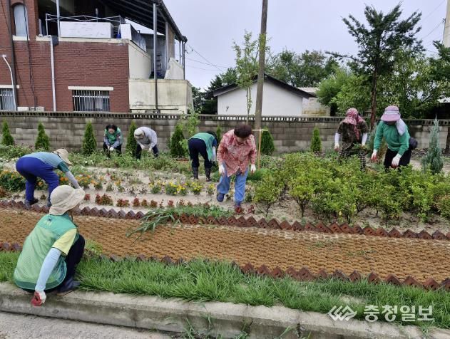 충주시 신니면 직능단체, 마을정원 가꾸기 '합심'