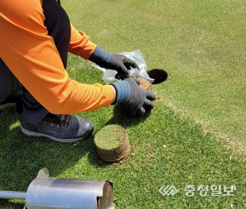 천안시, 골프장 5곳 농약 잔류량 검사